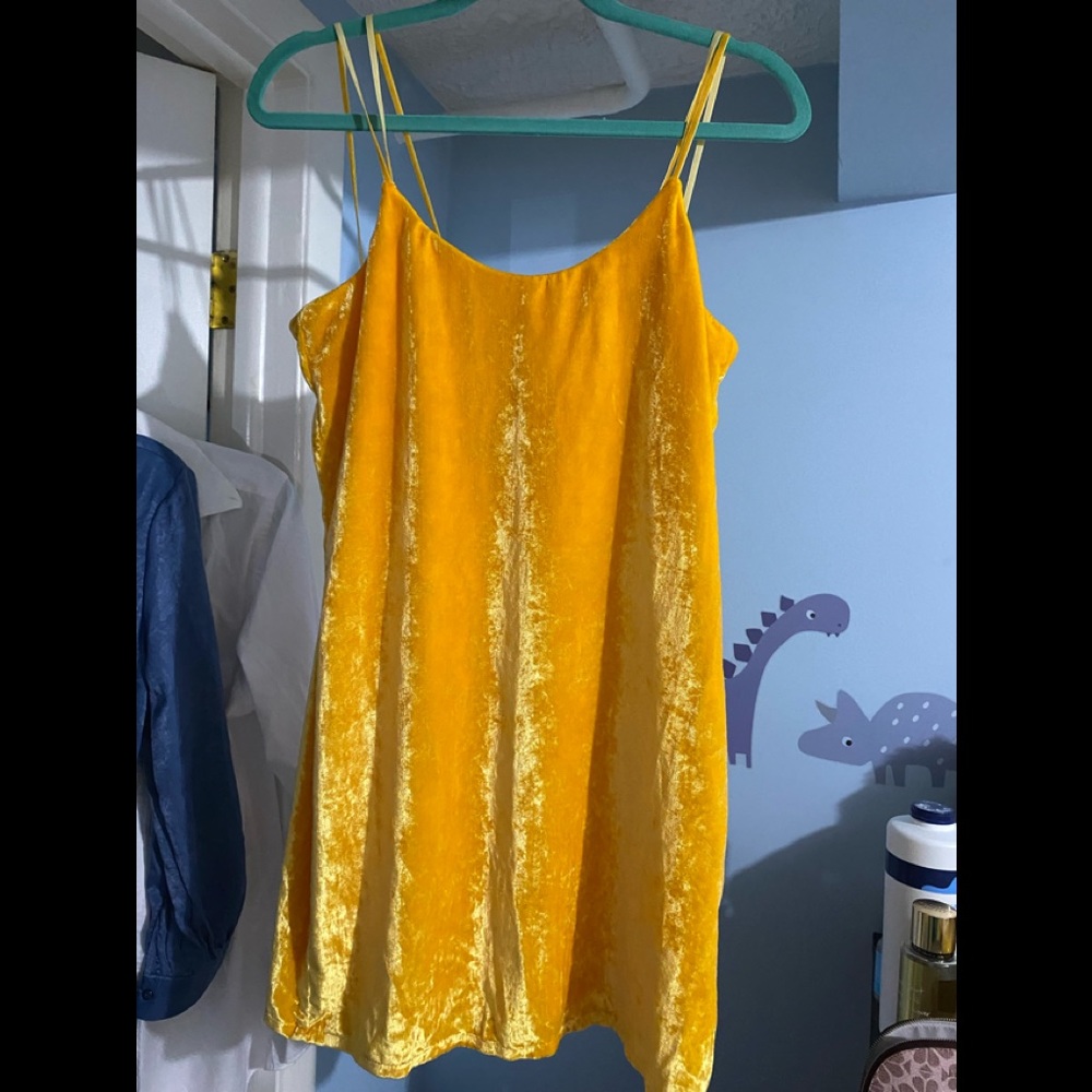 Zara suede dress